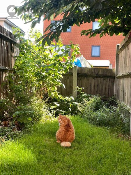 Helene House, 2a Hartington Road, Custom House, E16 3NY